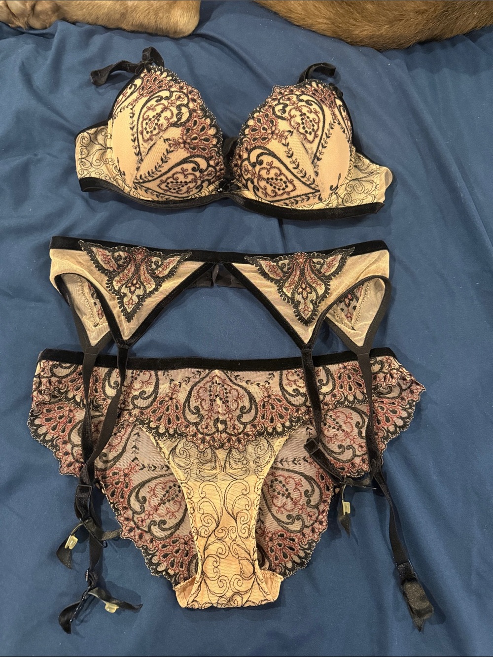 Aubade Embroidered Lace Bra, Panty & Garter Set in Nude and Black